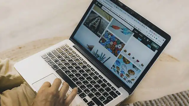 Web Design with React (Bento)