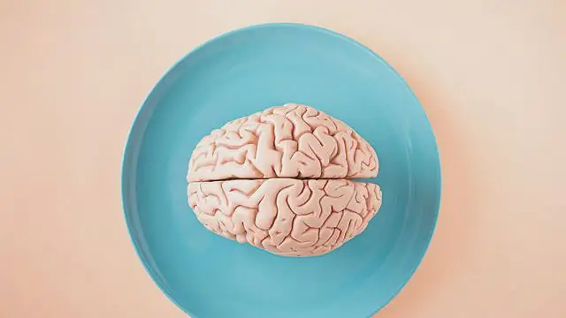 Python & AI Blocks (Brain)