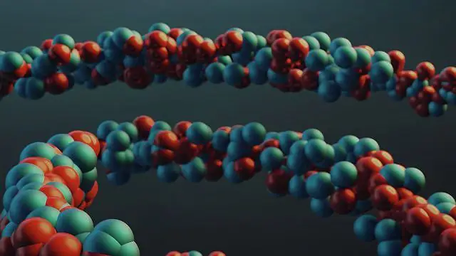 Biology Studio (Helix)